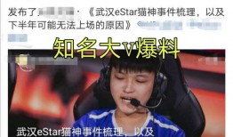 爆料猫神转位视频大全集,揭秘神秘转位技巧全解析