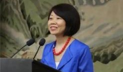 蒋小燕最新爆料新闻视频,揭秘事件背后惊人真相！