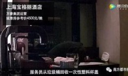 各大餐厅爆料视频合集下载,美食背后的故事与真相